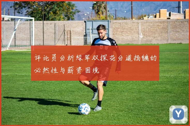 评论员分析绿军双探花分道扬镳的必然性与薪资困境